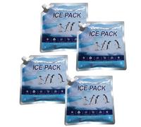 Ice Packs for Lunch Boxes, Freezer Cooling Blocks, 4 Piece Reusable Leakproof Set, 9.84x9.84 Inches, Portable Chill Accessories for Travel Picnic Camping Beach Fishing Outdoors