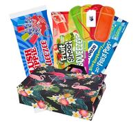 Ice Pops Bundle with Slush Puppy x10 Fruit Shoots Squeezee x12 Mr Freeze Ice Pops Blue x20, ILG Ice Pole Holder for Kids x4 & ILG Gift Bag