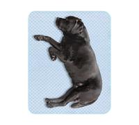 Ice Silk Cooling Mat For Dogs,Waterproof Anti-Slip Pet Pad,Large Cat Summer | The High-density Ice Silk Weave Draws Heat Away From Your Dog's Body On Contact-up To 5°C Cooler Than The Air. No Electricity