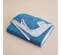 Ice Silk & Mugwort Summer Quilt | Single/Double Sizes 3-Second Cooling & Machine-Washable - For Hot Flashes, Night Sweats & AC-Free Nights