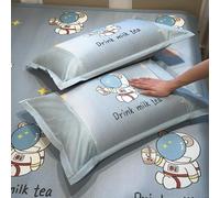 Ice Silk Print Pillowcases - Kawaii Style Cooling Pillow Cover, Soft Smooth Printed Pillowcase with Envelope Closure for Hair Skin Summer Use, Home Bedding for Hot Sleepers (#16,48cmX74cm)