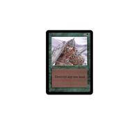 Ice Storm | Alpha