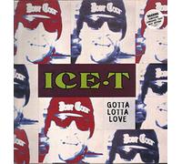ICE T - Gotta Lotta Love [12" VINYL]