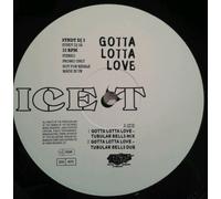 Ice-T - Gotta Lotta Love