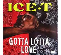 Ice-T - Gotta Lotta Love - Rhyme $yndicate Records - PVL 53821
