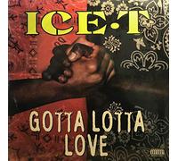 Ice-T - Gotta Lotta Love [VINYL]