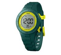 Ice Watch 21622 Watch Golden