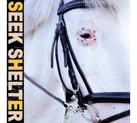 Iceage - Seek Shelter [VINYL]