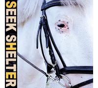 Iceage - Seek Shelter [VINYL]