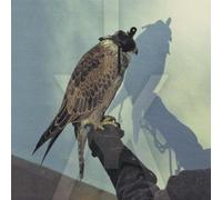 Iceage - You'Re Nothing