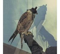 Iceage - You're Nothing