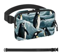 Iceberg Penguin-1524 Unisex Style Fanny Pack: Fashion Waist Packs, Crossbody Bags Sport Slim Fashionable for Jogging Hiking Hiker Woman Man, Multicolor, 1.5x9.0x5.9in/4x23x15cm