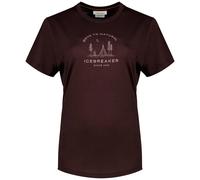 Icebreaker - Women's Merino 150 Tech Lite S/S Tee Peaceful Pass - Merino shirt size XL, brown