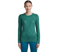 Icebreaker 200 Oasis Bear Tour Aop Long Sleeve Base Layer