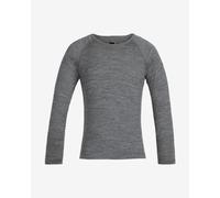 Icebreaker 200 Oasis Crew Merino Long Sleeve T-shirt Grey 10 Years Kids