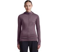 Icebreaker 200 Real Descender Full Zip Fleece