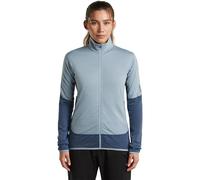 Icebreaker 300 Real Descender Full Zip Fleece