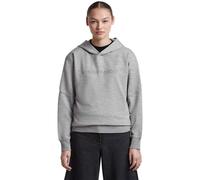 Icebreaker 360 Real Elemental Hoodie