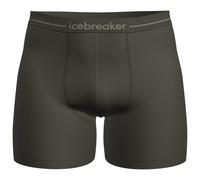 Icebreaker Anatomica Boxers Green,Grey M Men
