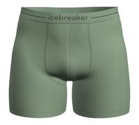 Icebreaker - Anatomica Boxers - Merino base layer size S, green/olive