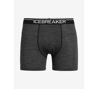 Icebreaker Anatomica Merino Boxers Grey XL Men