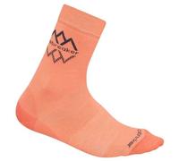 Icebreaker Lifestyle Fine Gauge Crew Logo Reflections Socks