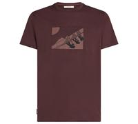 Icebreaker - Merino 150 Tech Lite S/S Tee In The Wild - Merino shirt size XL, brown