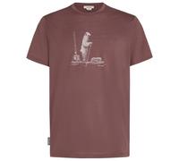 Icebreaker - Merino 150 Tech Lite S/S Tee Polar Paddle - Merino shirt size M, brown