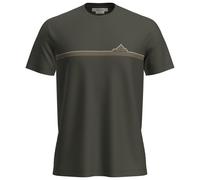 Icebreaker Merino 150 Tech Lite Range Stripes Short Sleeve T-shirt Green XL Men