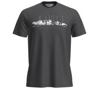 Icebreaker - Merino 150 Tech Lite S/S Tee The Peaks - Merino shirt size L, grey