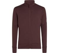 ICEBREAKER Merino 260 Quantum Ls Zip - Men - Purple - size L- model 2026 L