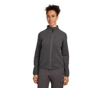 Icebreaker Merino Blend 800 Realfleece™ Classic Pile Full Zip Sweatshirt
