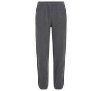 Icebreaker - Merino Blend 800 Realfleece Classic Pile Pants - Walking trousers size L, blue/grey