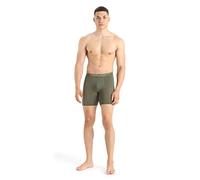 Icebreaker Merino Men's Underwear Anatomica Long Boxers Shorts, Loden, L