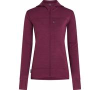 Icebreaker 300 Real Descender Full Zip Fleece Purple S Woman