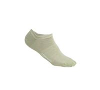 Icebreaker Women's Lifestyle Fine Gauge No Show Socks, Lichen/Glass, L