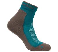 Icebreaker - Women's Merino Hike+ Light Mini - Walking socks size 5/6,5, brown
