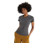 Icebreaker Central Classic Short Sleeve T-shirt Grey S Women