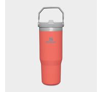 Iceflow™ Flip Straw Tumbler 0.89L - Orange, Orange One Size