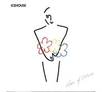 Icehouse - Man of colours (1987) [VINYL]