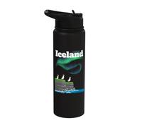 Iceland Aurora Borealis Puffin Colony Sea Cliffs Polar Light Stainless Steel Insulated Water Bottle