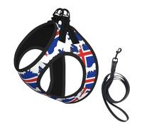 Iceland Flag Map Print Dog Harness with Leash Set with Thickened Padded Vest for Extra-Small/Small Medium Dogs