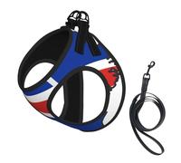 Iceland Flag Map Print Small Dog Harness And Leash Set, Adjustable Soft Vest With 360° Reflective Straps For Cats Puppy