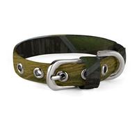 Iceland Hut Grass Coast Sea Sun Rays Pet Collar Oxford Adjustable Safety Dog Collars Cute Outdoor Training Pet Collars Easy Clean Floral Print Puppy Collar for City Pet Owners