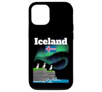 Iceland souvenir Aurora Borealis Puffin Colony polar lights Case for iPhone 12/12 Pro