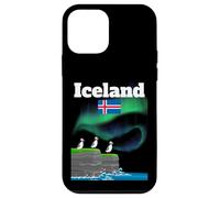 Iceland souvenir Aurora Borealis Puffin Colony polar lights Case for iPhone 12 mini