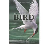 Icelandic Bird Guide: Appearance, Way of Life, Habitat