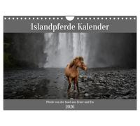Icelandic horses calendar - Horses from the island of fire and ice UK-Version (Wall Calendar 2026 DIN A4 Landscape), CALVENDO 12 Month Wall Calendar
