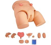 ICEMOB Male Female Catheterization Model Interchangeable,Nursing Practice Urinary Urethral Catheter Manikins Teaching Catheter Model for Students Or Nurses Catheterization Simulator Kit