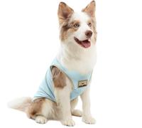 ICEMOOD Dog Cooling Shirt Dry Fit Cool Feeling Tech Lightweight and Thin Moisture Wicking Fabric, Pet Summer Accessory, or Small and Medium Pet, 15lbs to 20lbs, Light Blue, 2XL